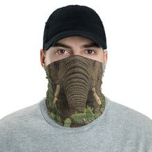 Load image into Gallery viewer, HPN Elephant Neck Gaiter